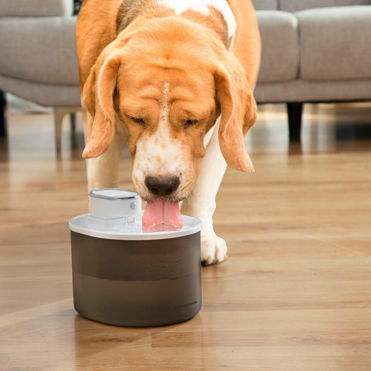 SMARTFOUNTAIN™